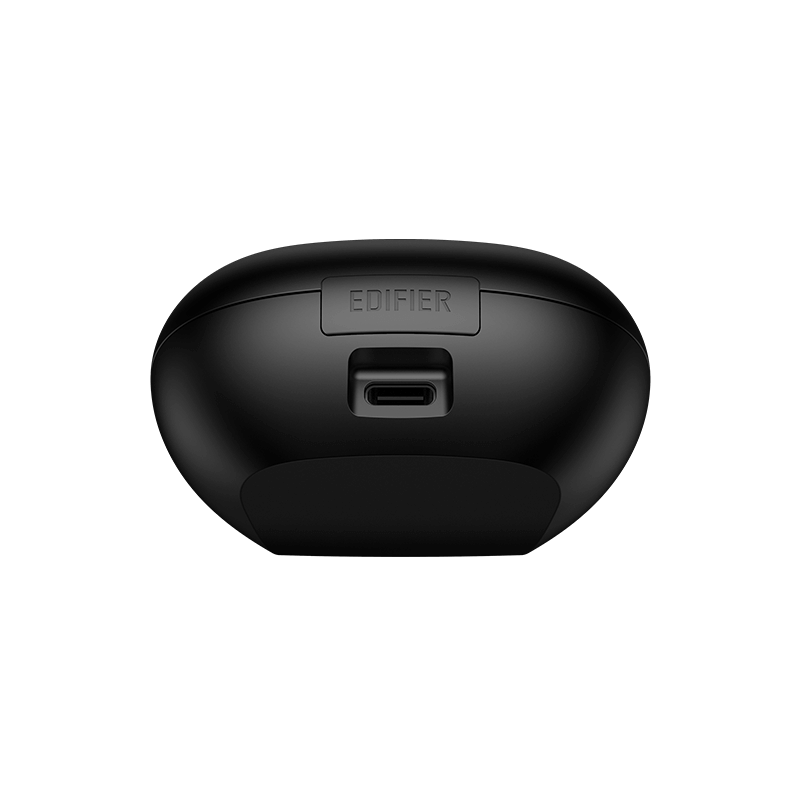 NeoBuds Plus True Wireless Earbuds with Active Noise Cancellation