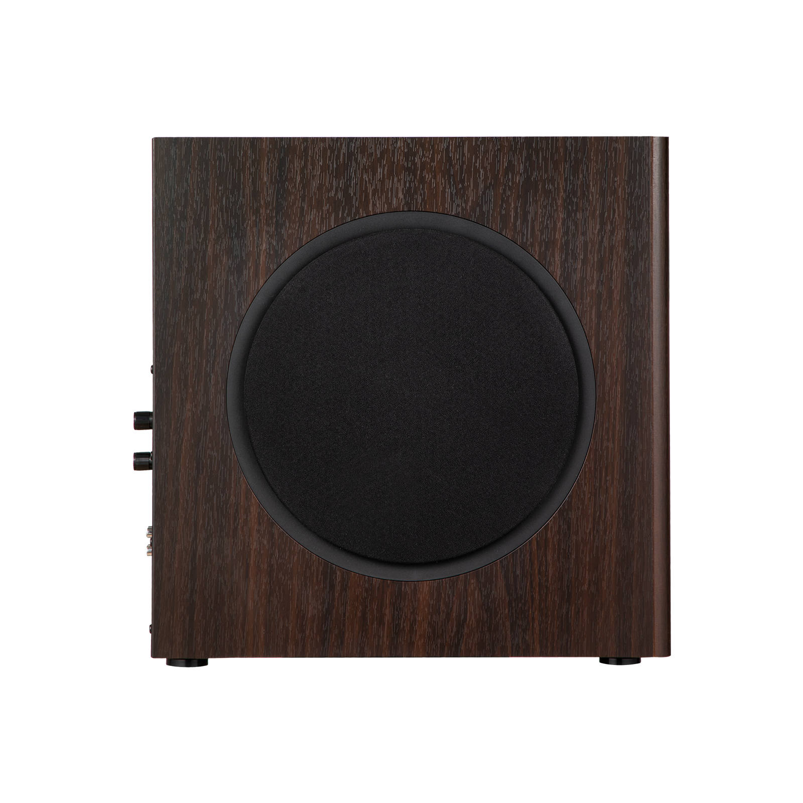T5s  Powered Subwoofer