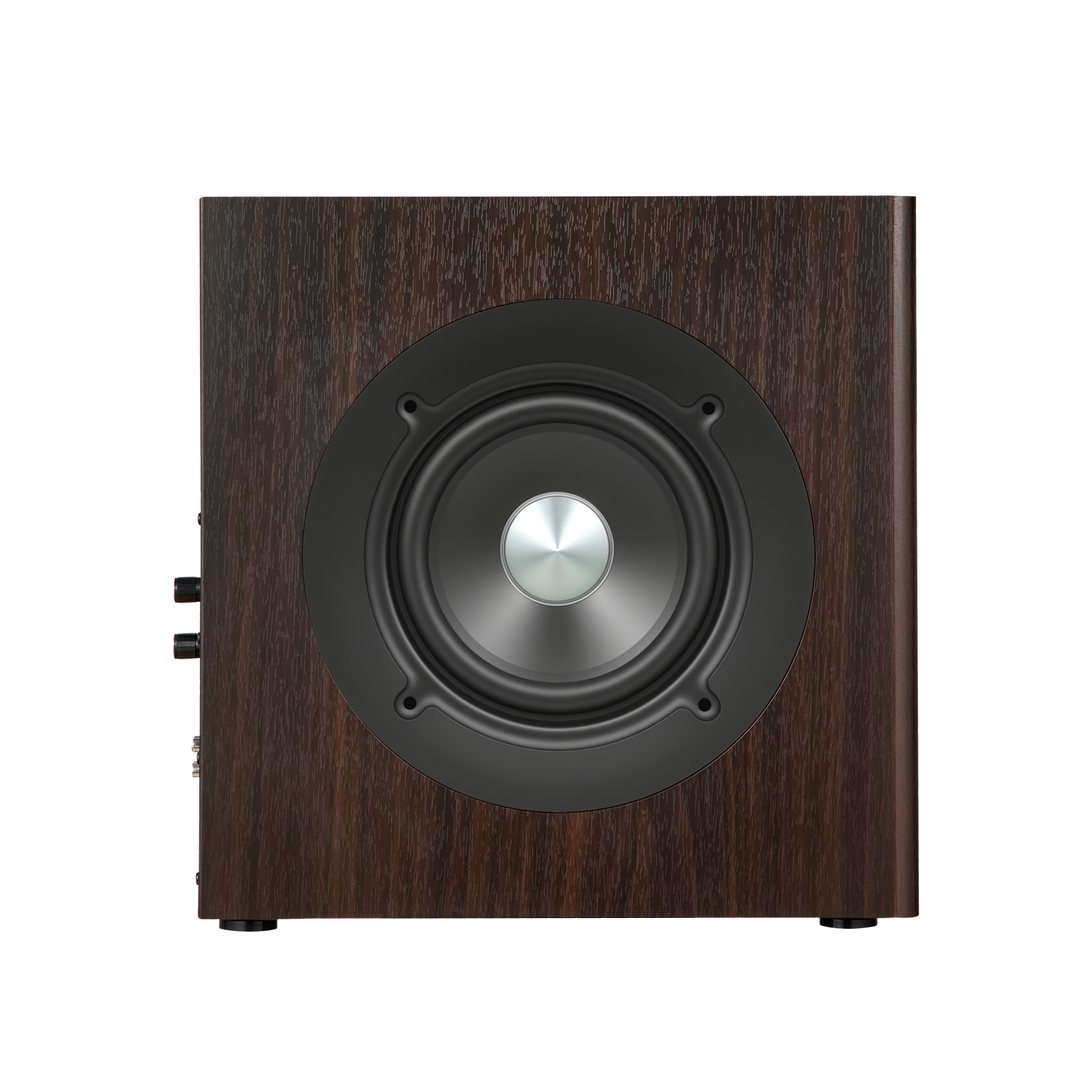 T5s  Powered Subwoofer