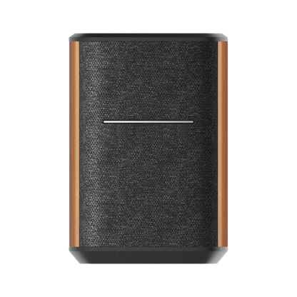 MS50A Wireless Smart Speaker with multi-room connectivity
