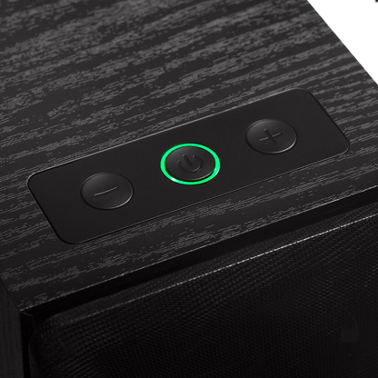 R33BT Active Speaker System